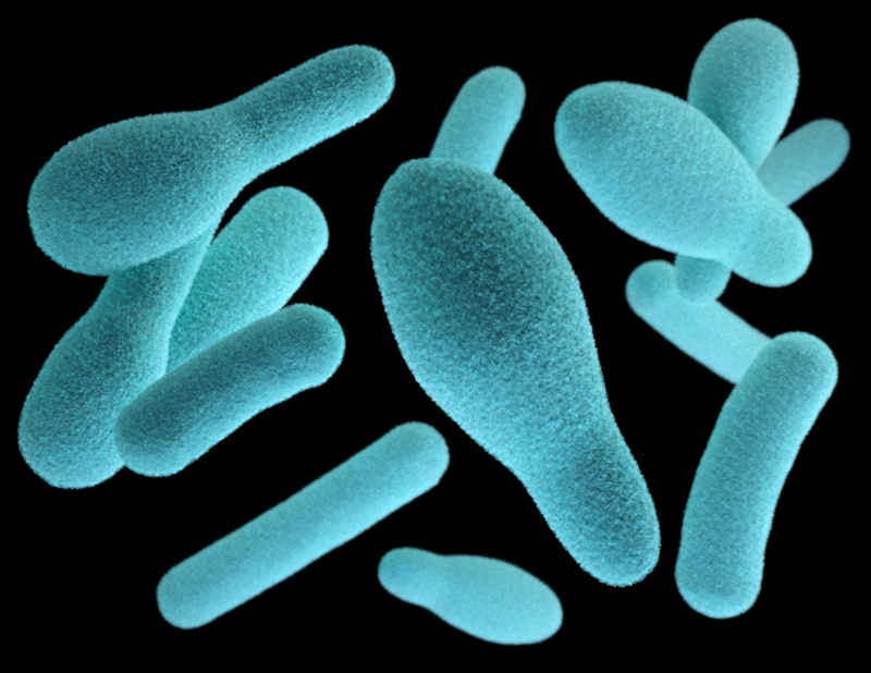 Le infezioni da batteri possono portare a fimosi patologica
