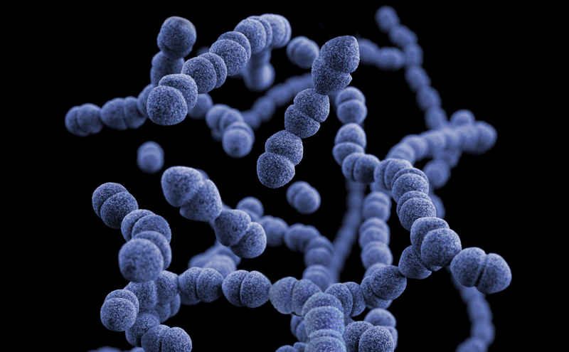 Colonia di batteri può causare infezioni con fimosi grave